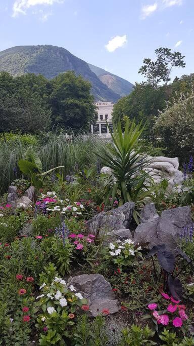 Grand T2 Calme Et Cosy Au « Pyrenees Palace » Bagneres-de-Luchon Exterior photo